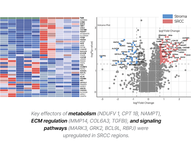 4D proteomics 이미지