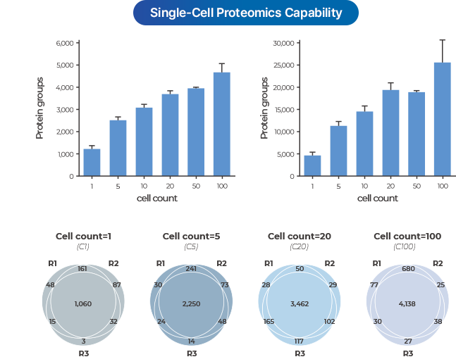4D proteomics images