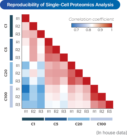 4D proteomics images