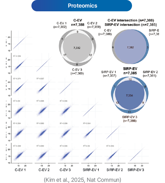 Exosome 이미지