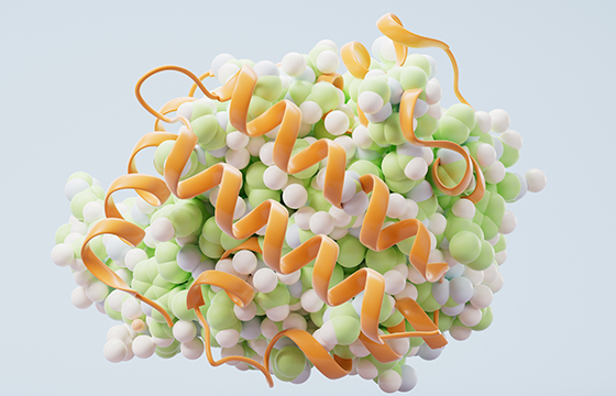 회사소개 이미지