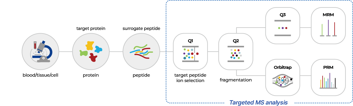 Targeted Proteomics 이미지
