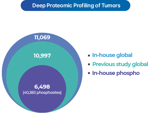 Tissue/Cell 이미지