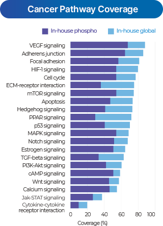 Tissue/Cell 이미지