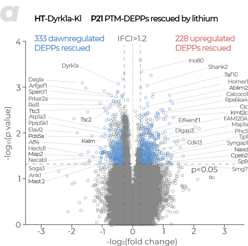 Tissue/Cell 이미지